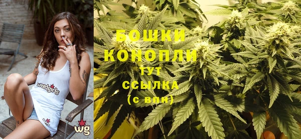 молекула духа Снежинск