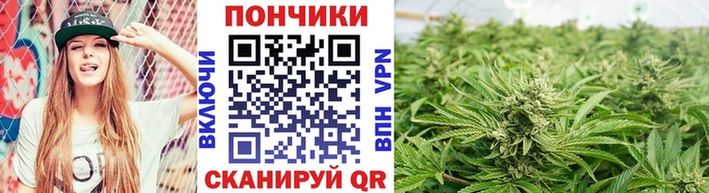 купить наркоту  Палласовка  omg ONION  Каннабис MAZAR 